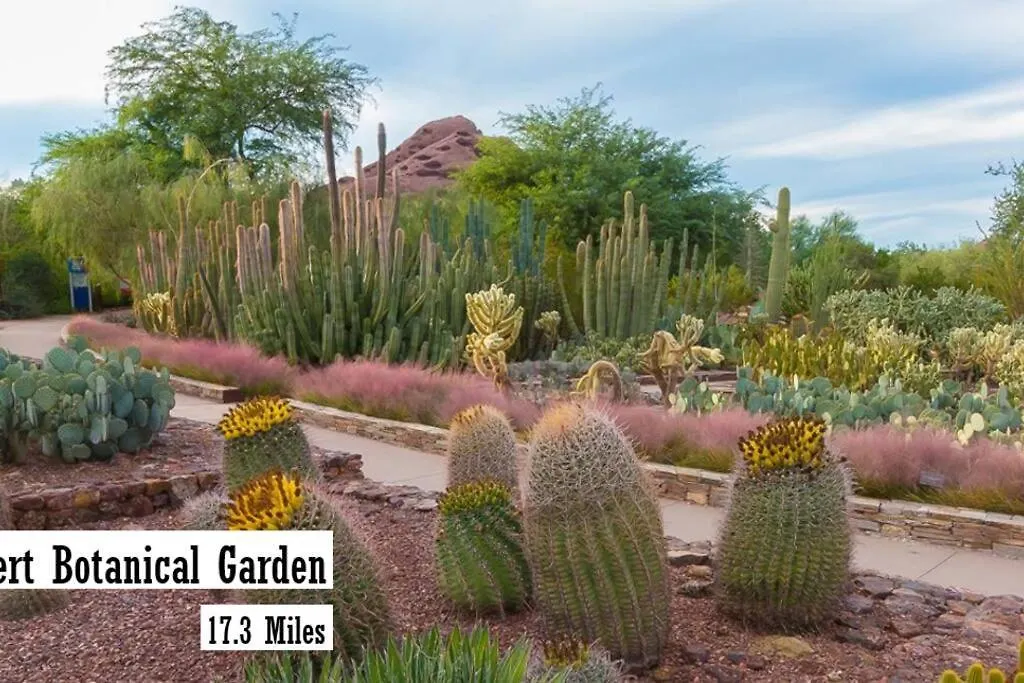 Appartement Modern 3-Br Condo Near Kierland Commons Scottsdale